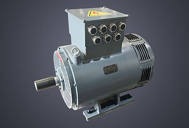 YE3ODP系列開(kāi)啟式三相異步電動(dòng)機(jī)